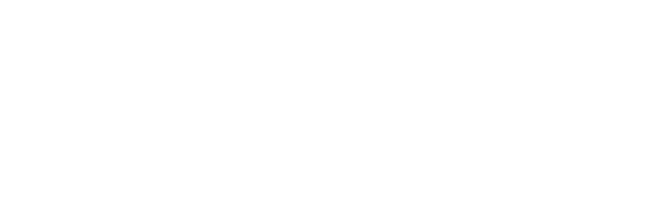 Moneris Partner